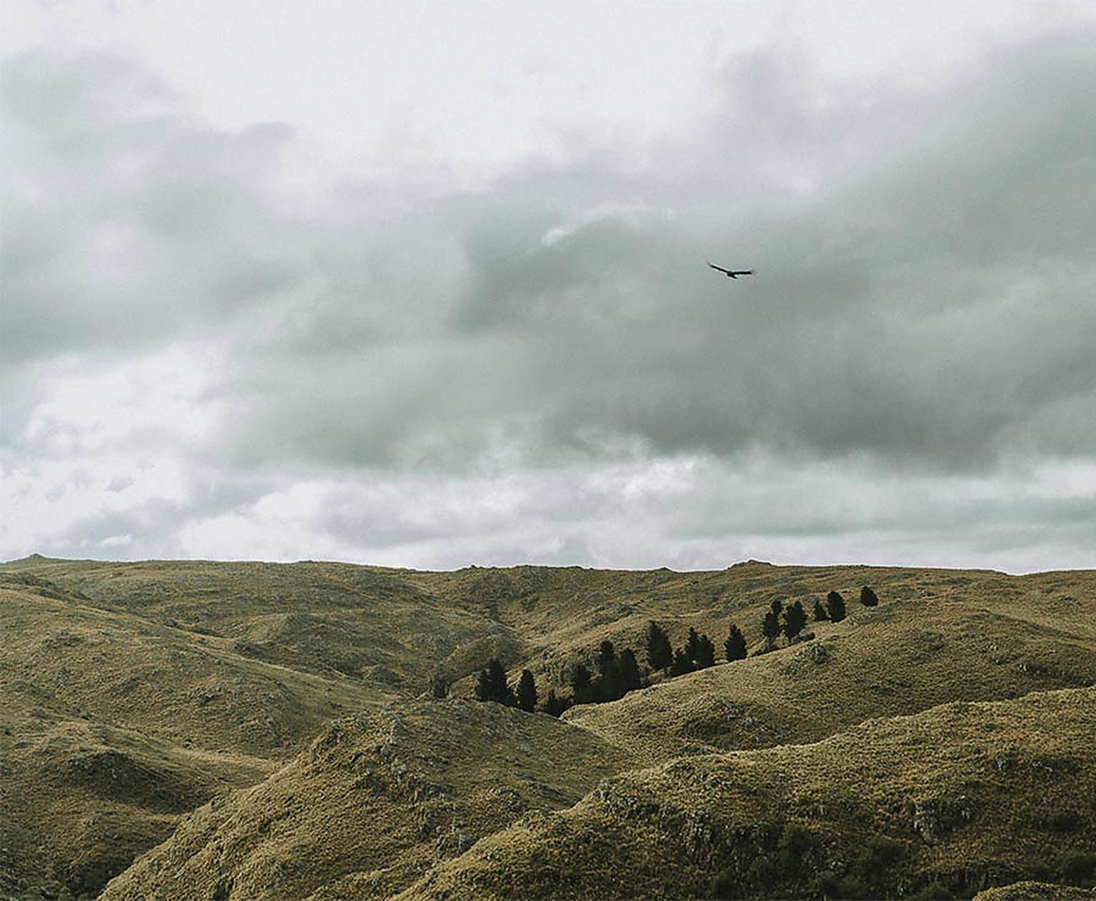 Un cóndor sobrevolando las sierras onduladas de Córdoba — el campo de Carahuasi